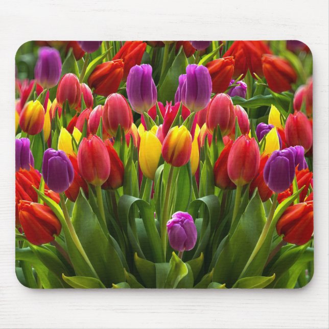 Bright Tulips Mouse Pad (Front)