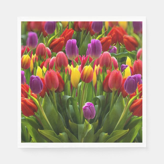 Bright Tulips Napkin (Front)