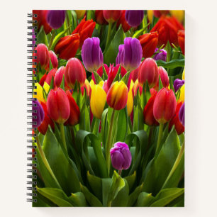 Bright Tulips Notebook