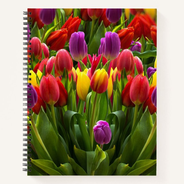 Bright Tulips Notebook (Front)