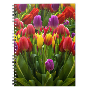 Bright Tulips Notebook