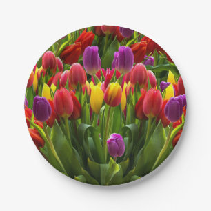 Bright Tulips Paper Plate