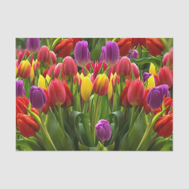 Bright Tulips Tissue Paper (Front)