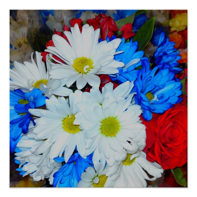 Bright White and Blue Daisy Flower Mix Poster (Front)