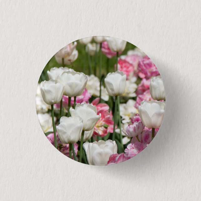 Bright white and pink tulips on a sunny day    3 cm round badge (Front)