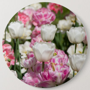Bright white and pink tulips on a sunny day  6 cm round badge