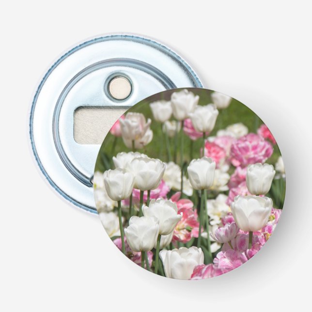 Bright white and pink tulips on a sunny day    bottle opener (Front)