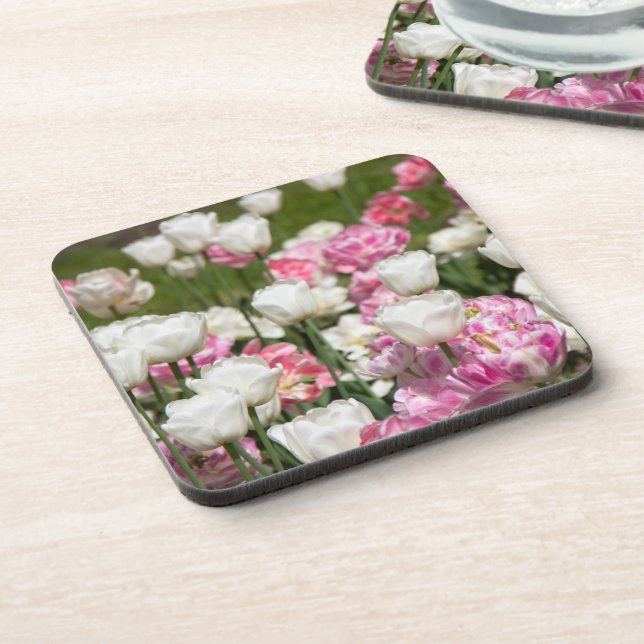 Bright white and pink tulips on a sunny day coaster (Left Side)