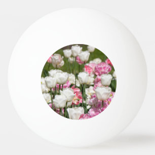 Bright white and pink tulips on a sunny day    ping pong ball