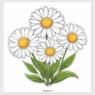 Bright White Daisies Bouquet With Yellow Centres