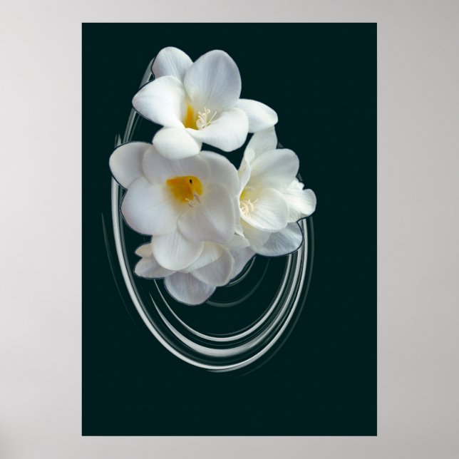 bright white freesia poster (Front)