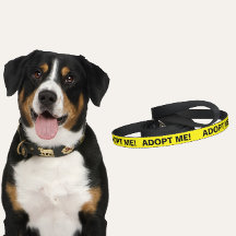 Bright Yellow Adopt Me Dog Leash