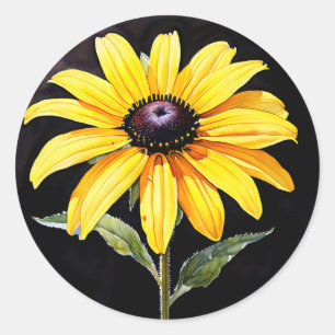 Bright Yellow Black Eyed Susan Watercolor  Classic Round Sticker