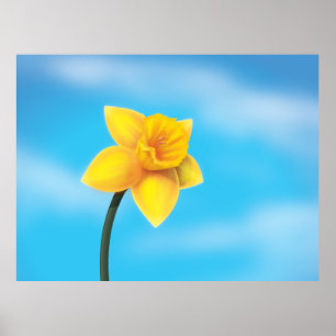 Bright Yellow Daffodil Poster