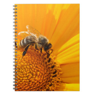 Bright Yellow Flower And Honey Bee Notebook