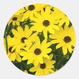 Bright Yellow Flowers Classic Round Sticker