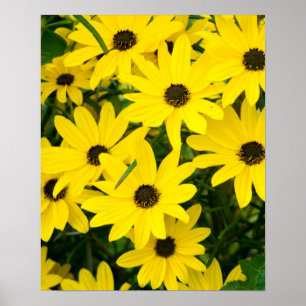 Bright Yellow Flowers Poster
