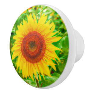 Bright Yellow Giant Happy Sunflowers Ceramic Knob