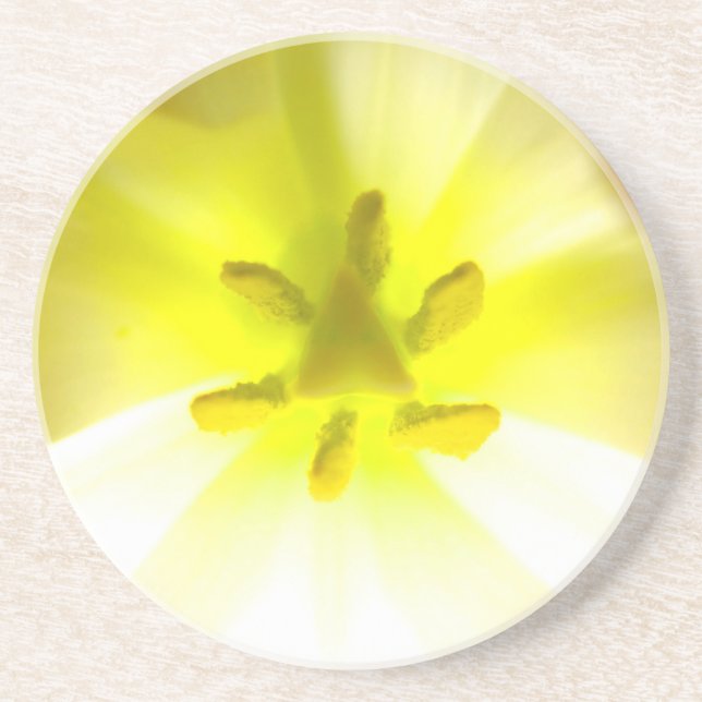 Bright Yellow Inside a Flower Sandstone Coaster (Front)