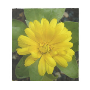 Bright Yellow Marigold Notepad