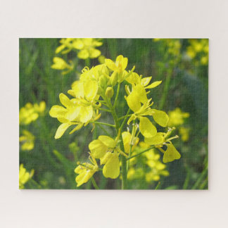 Bright Yellow Mustard Blossoms Jigsaw Puzzle