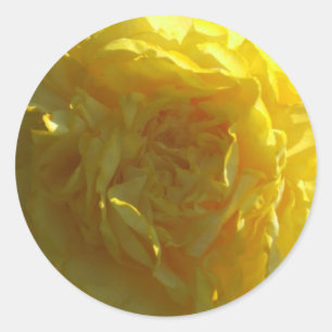 Bright Yellow Peony Peonies Flower Sticker