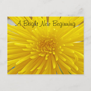 Bright Yellow Spiky Dahlia Photo Thinking Of You Postcard