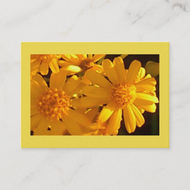 Bright Yellow Sunflower Blooms Business Card (Front)