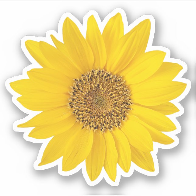 Bright Yellow Sunflower Contour Sticker (Front)