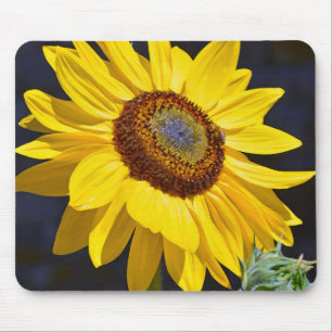 Bright yellow sunflower mouse pad