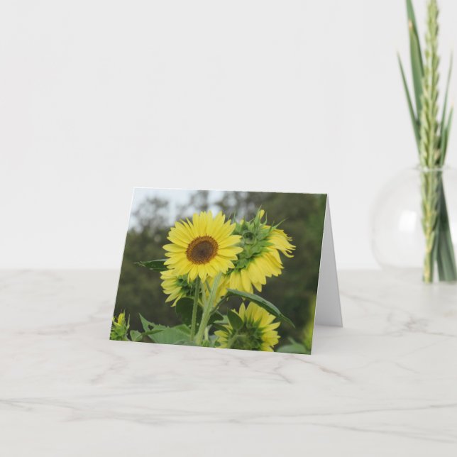Bright Yellow Sunflower Note Card (Front)