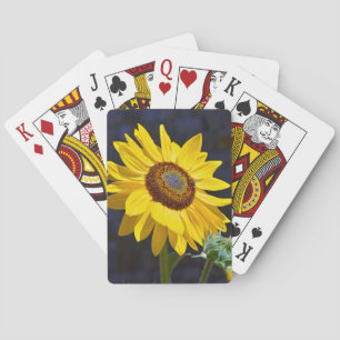 Bright yellow sunflower playing cards