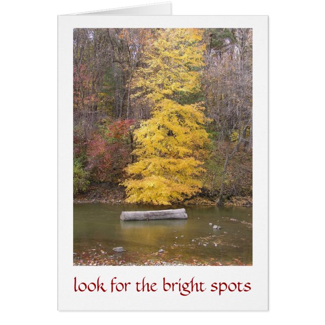"BRIGHT YELLOW TREE ALONG RIVER BANK" (Front)