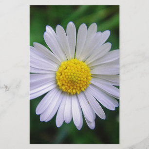 Bright yellow-white daisy stationery