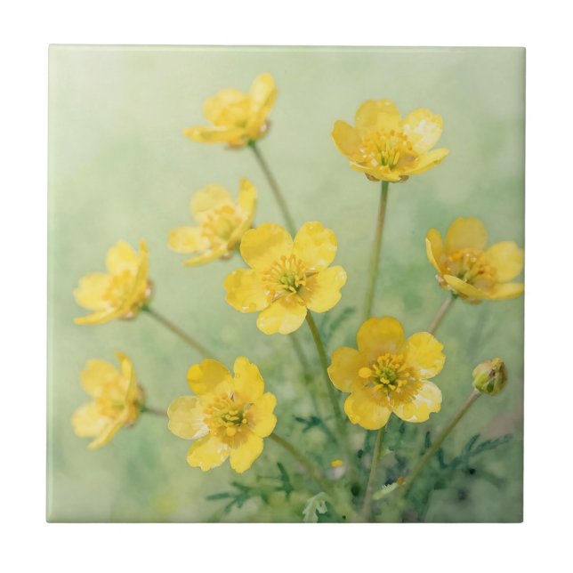 Bright Yellow Wildflower Spring Meadow Tile (Front)