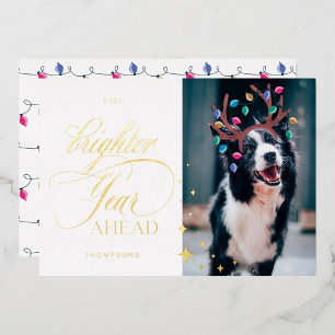 Brighter Year Ahead Fun Pet Photo Reindeer Lights
