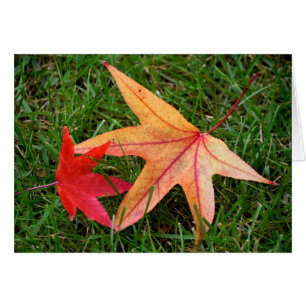 Brightly Colorful Maple Leaf