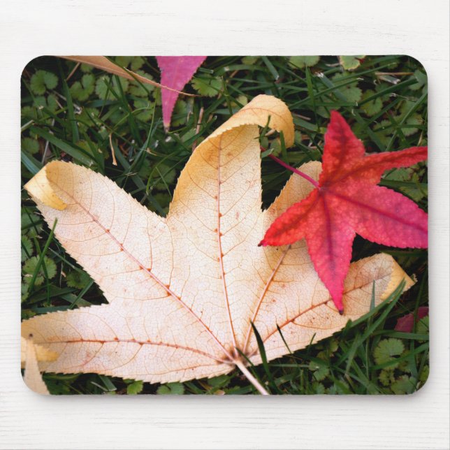 Brightly Colorful Maple Leaf Mouse Pad (Front)