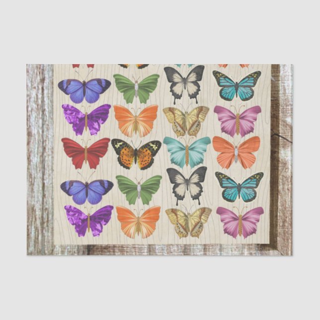 Brightly Coloured Pastel Butterflies  Tissue Paper (Front)