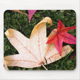 Brightly Colourful Maple Leaf Mouse Pad