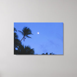 Brightly lit moon, silhouette of coconut trees canvas print