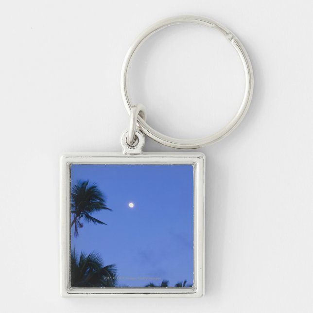 Brightly lit moon, silhouette of coconut trees key ring (Front)