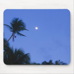 Brightly lit moon, silhouette of coconut trees mouse pad