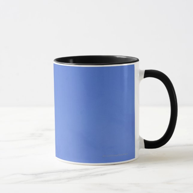 Brightly lit moon, silhouette of coconut trees mug (Right)