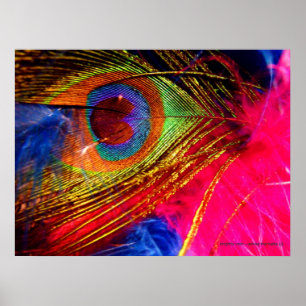 Brightly Vain Poster