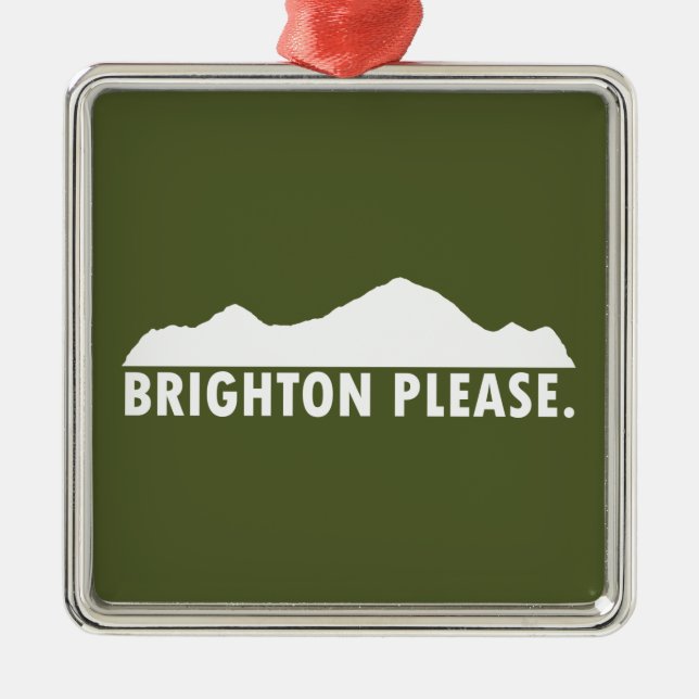 Brighton Please Metal Tree Decoration (Front)