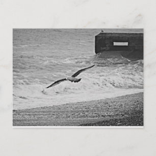 Brighton Postcard