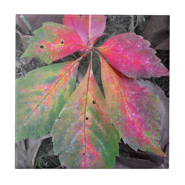 Brilliance Among the Grey - Autumn Leaf Tile (Front)