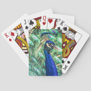 Brilliance in Blue &Green Peacock Playing Cards
