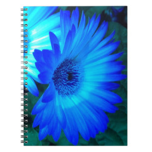 Brilliant Blue Daisies Notebook